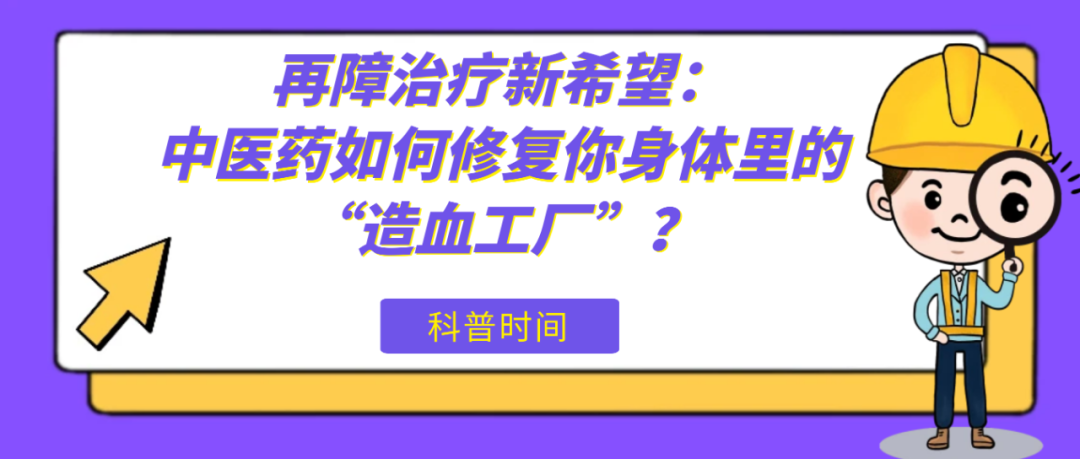 科普时间 | 再障治疗新希望：中医药如何修复你身体里的“造血工厂”？
