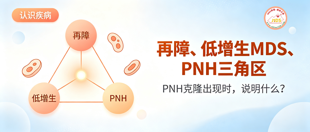 认识疾病 | 再障、低增生MDS、PNH三角区：PNH克隆出现时，说明什么？