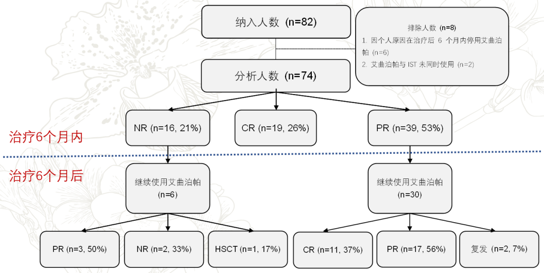 3·20中国血小板日现场回顾视频|不止升血小板!TPO受体激动剂如何改变再障治疗格局?