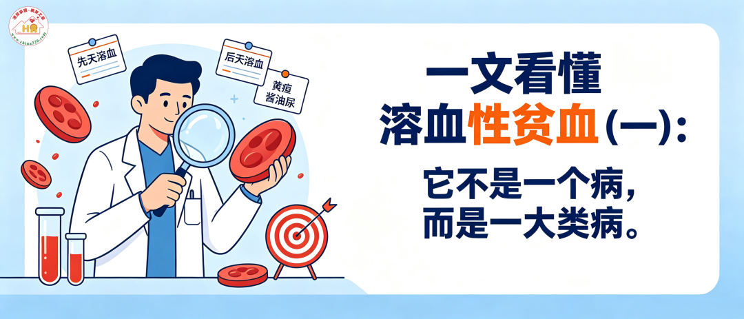 认识疾病 | 一文看懂溶血性贫血(一):它不是一个病,而是一大类病 图片 欢迎转载,转载请注明出处“溶贫家园”🍨🍨 图片 图片 扫码加入溶贫病友群 申请好友时请备注疾病类型 咨询和交流溶血性贫血 (AIHA、PNH等)相关问题 “溶血”,就是红细胞被提前破坏了。正常红细胞能活120天左右,而溶血患者的红细胞可能只活十几天甚至更短。骨髓拼命造血也赶不上破坏的速度,人就会出现贫血、黄疸、小便颜色变深(浓茶色、酱油色)这些表现。 溶血性贫血不是单一的疾病,而是一大类病。按病因可以分成两大阵营:先天遗传的和后天获得的。不同类型的溶血,有没有药、花多少钱、要防什么并发症,差别非常大。这篇我们先讲清楚并发症和先天性溶血,下一篇再讲后天获得性溶血和现在的用药格局。 图片 01 不管是哪种溶血, 这些并发症都要警惕 1.溶血危象:短期内红细胞大量破坏,出现腰痛、高热、寒战、酱油色尿,严重时可导致急性肾衰竭,必须立刻就医。 2.血栓:溶血释放的物质让血液更容易凝固,PNH患者尤其高危——研究显示血栓发生率高达44%,是致死的主要原因。 3.胆结石:长期溶血产生大量胆红素,容易在胆囊形成结石,遗传性溶血患者中很常见。 4.铁过载和器官损伤:反复输血的患者,铁会沉积在心脏、肝脏、胰腺造成损害;PNH患者中约65%合并慢性肾病、约47%出现肺动脉高压。 5.再障危象:感染(尤其是细小病毒B19)可能让骨髓突然”罢工”,贫血短期内急剧加重。 6.感染风险:使用激素、免疫抑制剂、补体抑制剂,或做过脾切除的患者,感染风险明显升高,必要时需提前接种疫苗(如脑膜炎球菌疫苗)。 图片 02 先天性溶血: 娘胎里带来的红细胞缺陷 1.遗传性球形红细胞增多症(HS)——最常见的遗传性溶血红细胞从圆饼形变成球形,变形能力差,经过脾脏时容易被”卡住”破坏。表现为贫血、黄疸、脾大。轻症只需补充叶酸、定期观察;中重度患者切除脾脏后,绝大多数溶血能明显改善。手术是单次花费,长期负担不大。要警惕胆结石和切脾后的感染风险。 2.地中海贫血——南方高发的血红蛋白病两广、海南、福建、云南、四川等地基因携带率很高,广西部分地区人群携带率可达20%以上,是全国患者数量最多的遗传性溶血病。轻型携带者无需治疗。输血依赖型患者以往靠终身输血+去铁治疗维持(去铁胺、去铁酮、地拉罗司国内均已上市,常用去铁药已纳入医保),每年花费数万元;红细胞成熟剂罗特西普(利布洛泽)2022年在国内获批用于定期输血的成人β地贫患者,同年纳入国家医保目录,可减少输血需求、帮助控制铁过载。此外基因治疗国外已获批,国内尚在临床研究阶段。 3.G6PD缺乏症(蚕豆病)——人数最多、花费最少全国发病率约4%-5%,南方部分地区高达20%,男性多见。没有根治药,也不需要吃药——关键是”防”:终身不吃蚕豆及制品、不用樟脑丸、避开某些氧化性药物(部分退烧药、磺胺类等)。避开诱因就能正常生活,几乎零治疗花费;一旦误触诱因引发急性溶血,则可能危及生命,需紧急救治。 4.丙酮酸激酶缺乏症(PKD)等罕见酶病非常罕见。国外已有针对溶血机制的口服药米他匹伐(2022年在美国获批),但尚未在国内上市,国内目前以输血支持、切脾等手段为主。 先天性溶血速查表 病种 人群规模 国内用药现状 费用负担 遗传性球形红细胞增多症 最常见的遗传性溶血 叶酸;切脾有效 低-中 地中海贫血 南方携带率高达20%+ 去铁药、罗特西普均已上市并入医保;移植可根治 医保后明显减轻 G6PD缺乏症(蚕豆病) 全国约4%-5%人群携带 无根治药,预防为主 极低 丙酮酸激酶缺乏症 极罕见 输血、对症支持(米他匹伐海外获批国内未上市) 中-高 图片 下一篇,我们讲后天获得性溶血——自身免疫性溶血性贫血、PNH、TTP,这几类恰恰是近年新药最多、医保变化最大的领域,病友们一定要看。