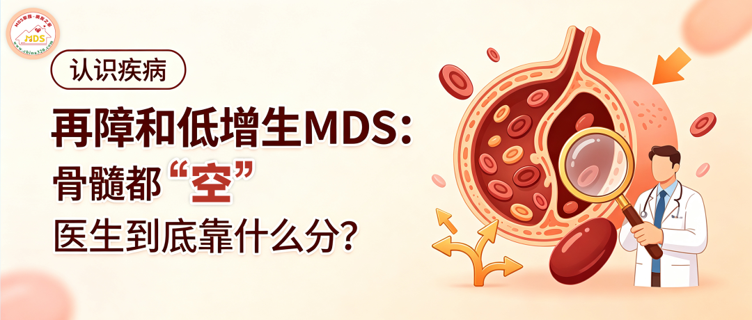 认识疾病 | 再障和低增生MDS:骨髓都“空”,医生到底靠什么分?