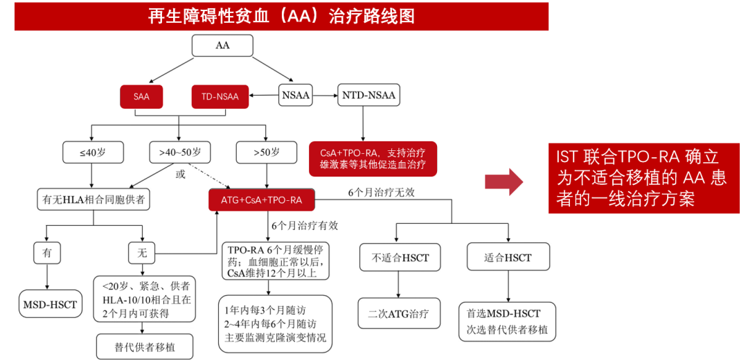 3·20中国血小板日现场回顾视频|不止升血小板!TPO受体激动剂如何改变再障治疗格局?
