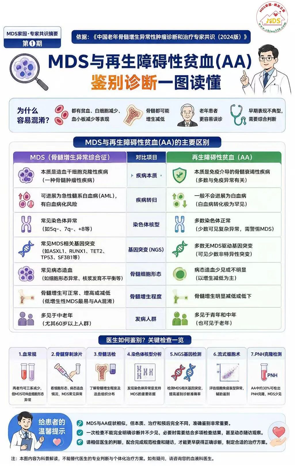 MDS家园·专家共识摘要第①期:MDS与再生障碍性贫血(AA)鉴别诊断
