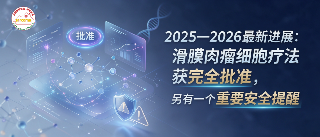 2025—2026最新进展:滑膜肉瘤细胞疗法获完全批准,另有一个重要安全提醒