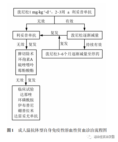 中国成人自身免疫性溶血性贫血诊疗指南（2023年版）
