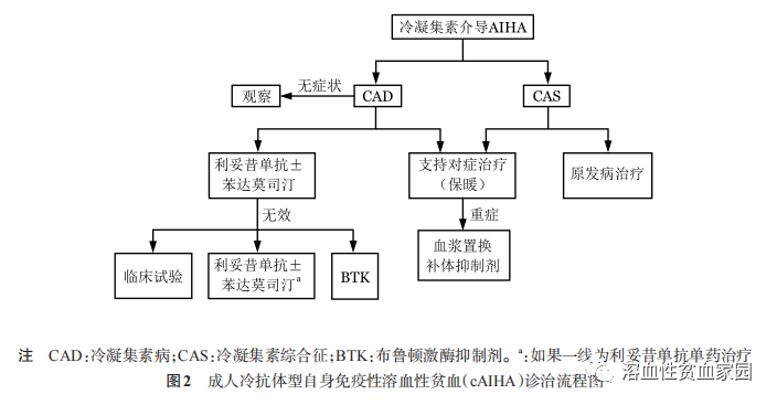 中国成人自身免疫性溶血性贫血诊疗指南（2023年版）