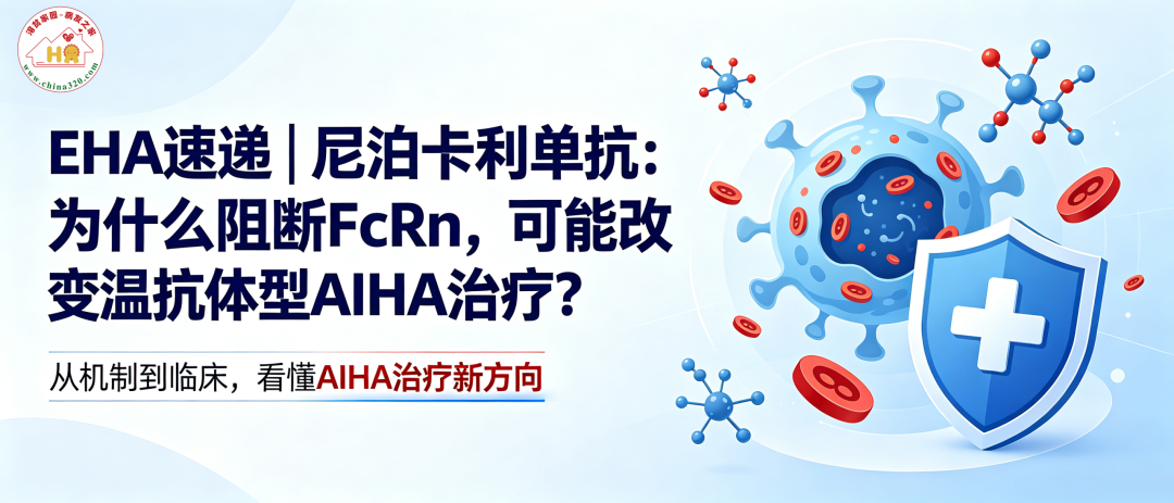 EHA速递 | 尼泊卡利单抗:为什么阻断FcRn,可能改变温抗体型AIHA治疗?