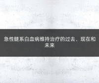 急性髓系白血病维持治疗的过去、现在和未来