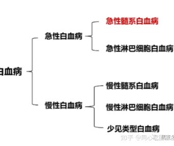 认识疾病 | 一文了解急性髓系白血病(AML)