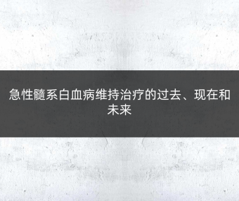 急性髓系白血病维持治疗的过去、现在和未来