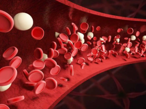 营养科普|| 一文读懂“贫血”，别掉以轻心不当病