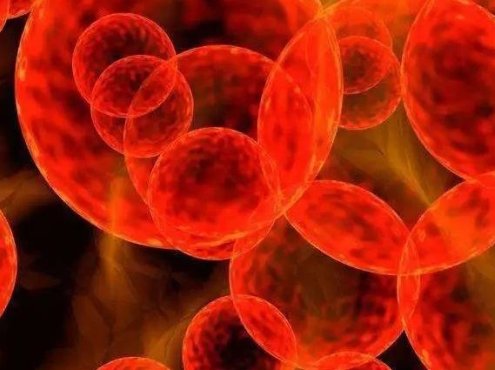 带你一起学习血栓性血小板减少性紫癜