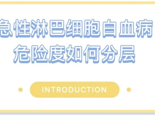 急性淋巴细胞白血病危险度如何分层