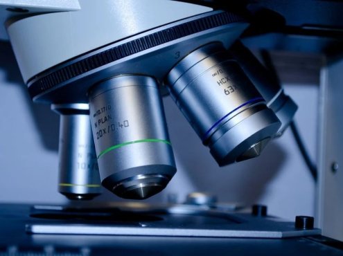 【临床病理学】——白细胞之淋巴细胞