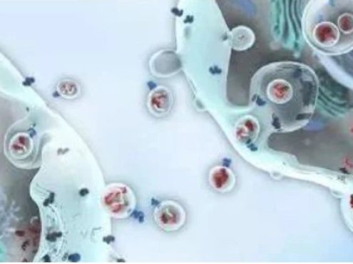 手把手教你|嗜酸粒细胞增多症的诊断和治疗