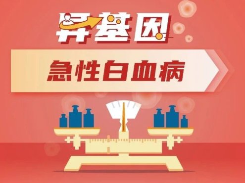 移植决策丨孩子得了急性淋巴细胞白血病严重吗?能治好吗?