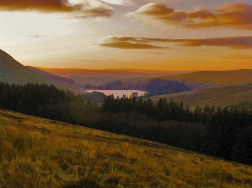 传说中的血友病