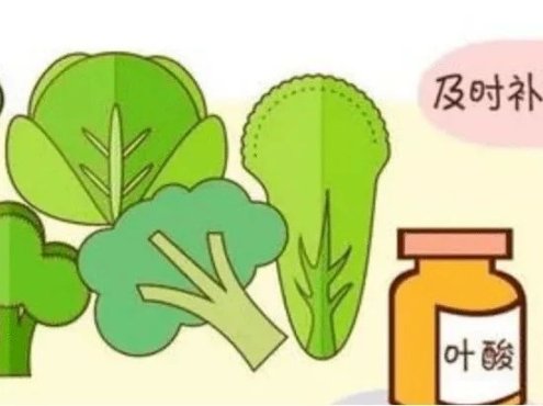 带你了解巨幼细胞性贫血