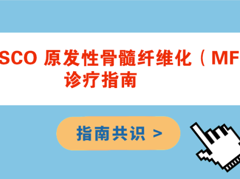 指南共识 | 2024CSCO 原发性骨髓纤维化(MF)诊疗指南
