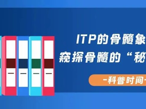 科普时间 | ITP的骨髓象解析：窥探骨髓的“秘密档案”