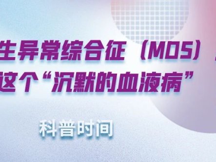 科普时间 | 骨髓增生异常综合征(MDS):了解这个“沉默的血液病”