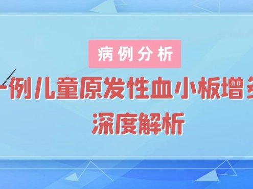 病例分析 | 一例儿童原发性血小板增多症深度解析