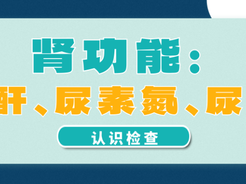 认识检查 | 肾功能:肌酐、尿素氮、尿酸