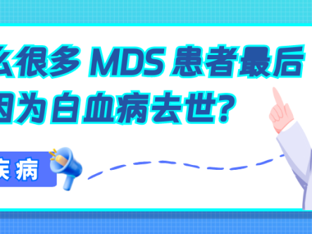 认识疾病 | 为什么很多 MDS 患者最后不是因为白血病去世？