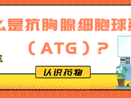 认识药物 | 什么是抗胸腺细胞球蛋白（ATG）？