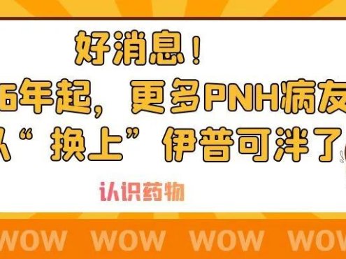认识药物 | 好消息!2026年起,更多PNH病友可以“换上”伊普可泮了
