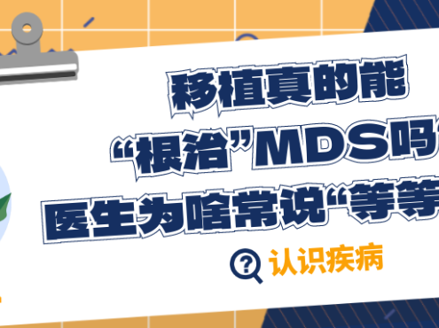 认识疾病 | 移植真的能“根治”MDS吗？医生为啥常说“等等看”？