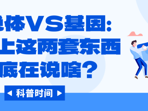 科普时间 | 染色体VS基因：报告上这两套东西到底在说啥？