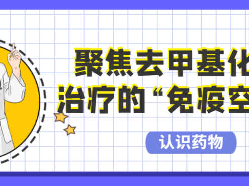 认识药物 | 聚焦去甲基化药物治疗的“免疫空窗期”