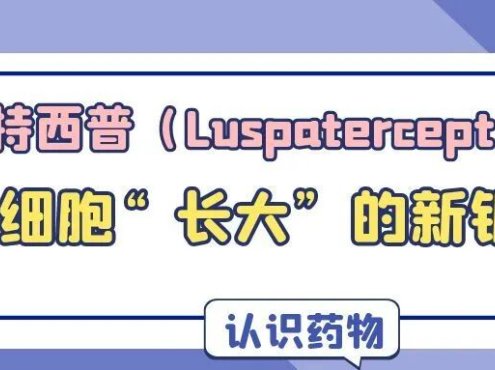 认识药物 | 罗特西普（Luspatercept）：让红细胞“长大”的新钥匙