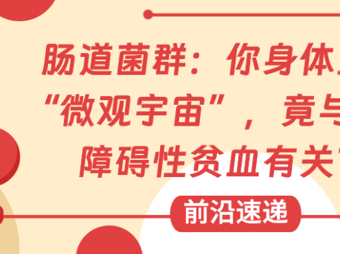 前沿速递 | 肠道菌群：你身体里的“微观宇宙”，竟与再生障碍性贫血有关？