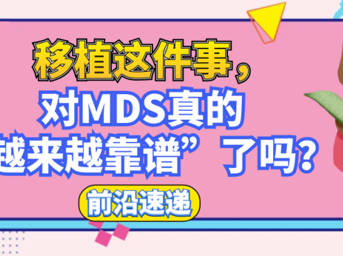 前沿速递 | 移植这件事,对MDS真的“越来越靠谱”了吗?