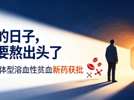 “硬扛”的日子,总算要熬出头了——全球首个温抗体型溶血性贫血新药获批